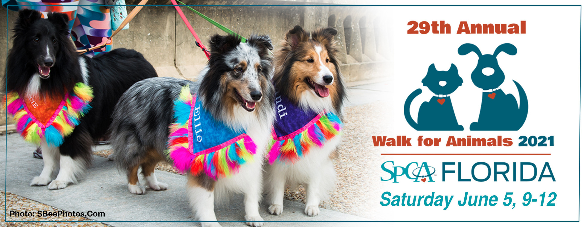 2021 Walk for Animals